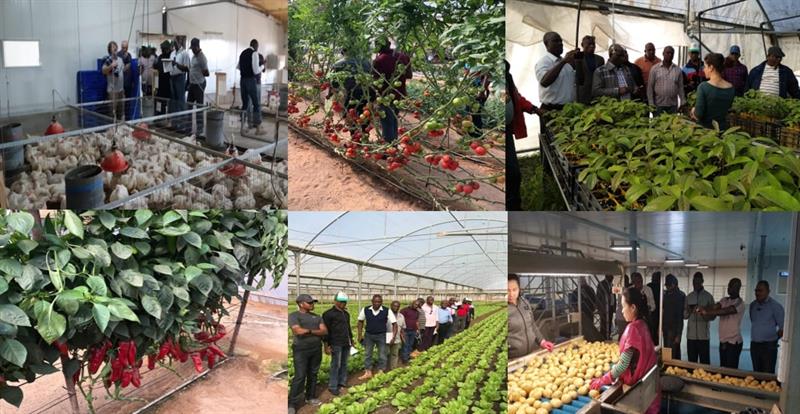 AGRIC RE-TRAINING IN ISRAEL